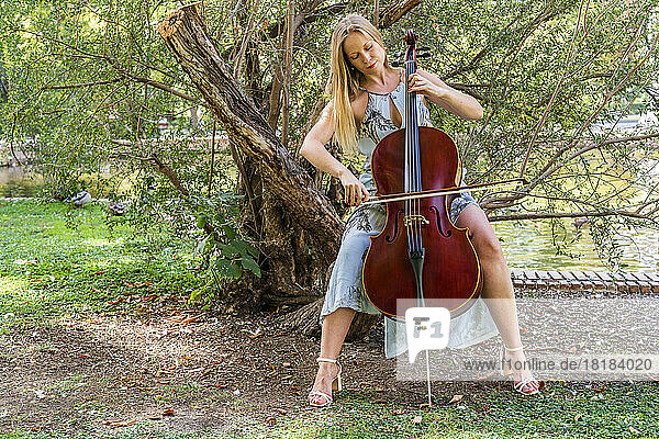 Woman playing cello in front of tree at park