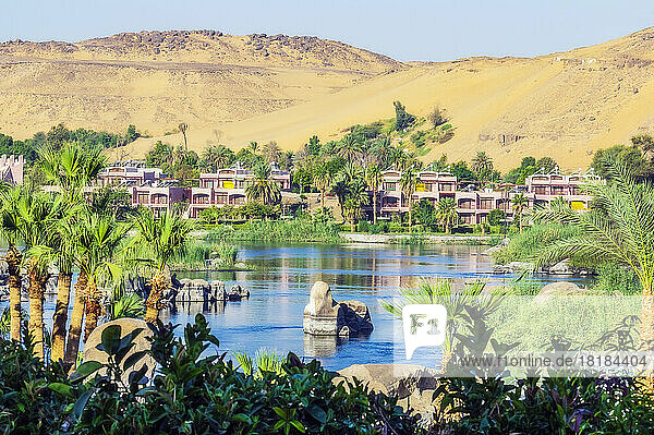 Egypt  Aswan Governorate  Aswan  City on bank on Nile river in summer