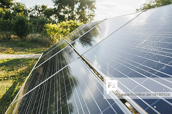Solar panels in backyard on sunny day