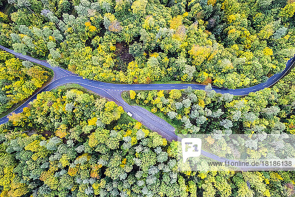 Germany  Baden-Wurttemberg  Drone view of crossroad in middle of Swabian-Franconian Forest