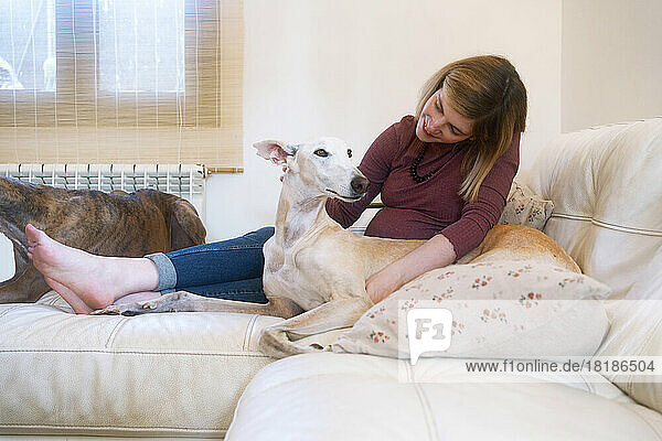 Smiling woman with Spanish greyhounds sitting on sofa at home