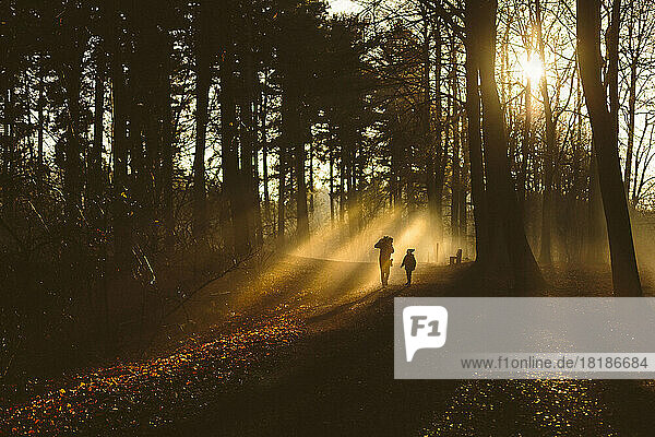 Vater und Sohn gehen im Gegenlicht im Wald spazieren