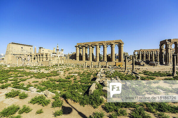 Egypt  Luxor Governorate  Luxor  Ancient Luxor temple with grand colonnade in center