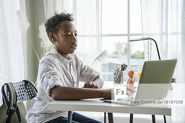 Boy doing school homework using laptop at home