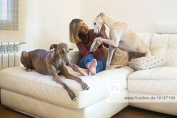 Happy woman with Spanish greyhounds sitting on sofa at home