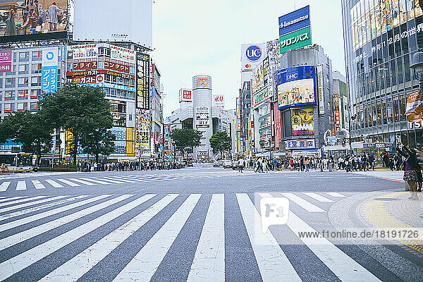 Shibuya Scramble Crossing