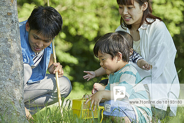 Japanese family collecting insects