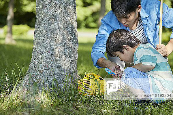 Japanese parent and child collecting insects