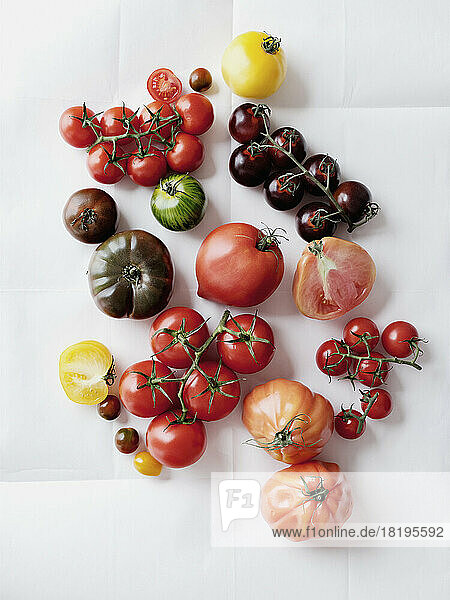 Stilleben Vielfalt Tomaten auf weißem Hintergrund