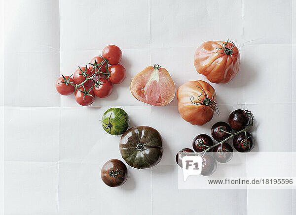 Stilleben Vielfalt von Tomaten auf weißem Hintergrund