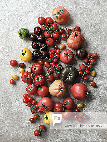 Still life variety tomatoes on gray background