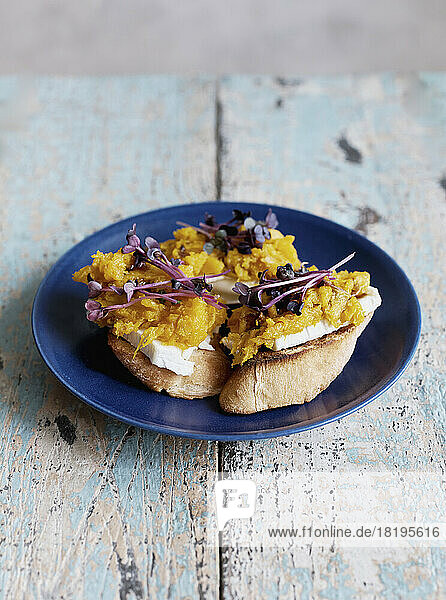 Still life butternut squash and radish microgreens toast appetizer on plate