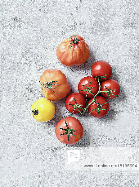 Stilleben Vielfalt rote und gelbe Tomaten auf grauem Hintergrund