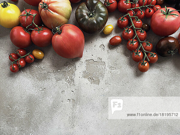 Stilleben Vielfalt von Tomaten auf grauem Hintergrund