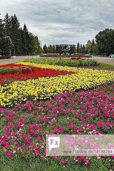 Blumenrüben im Veteranenpark  Barnaul  Altai-Region  Russland  Europa