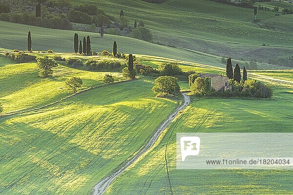 Hüglige Felder mit Landgut bei Pienza  Val dOrcia  Toskana  Italien  Europa