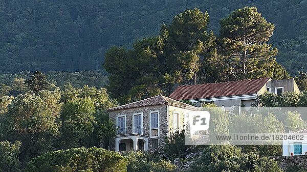 Harbour town of Kioni  bay  hillside villa  red tiled roof  trees  wooded hills  east coast  Ithaca Island  Ionian Islands  Greece  Europe