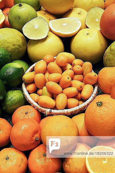 Different kinds of citrus fruits in a display  Berlin  Germany  Europe