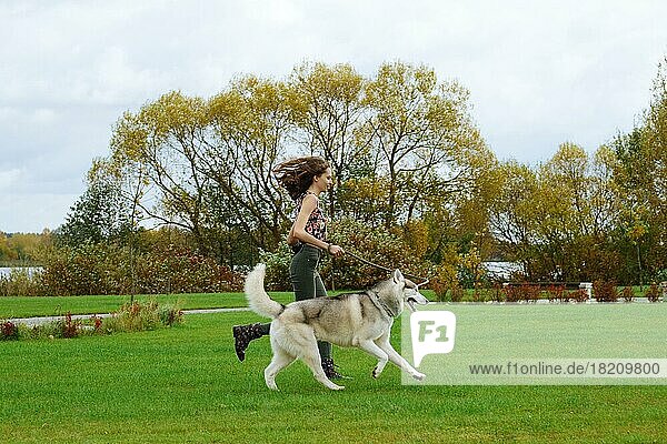 Mädchen spielt mit Husky-Hund im Stadtpark. Joggen mit Hund