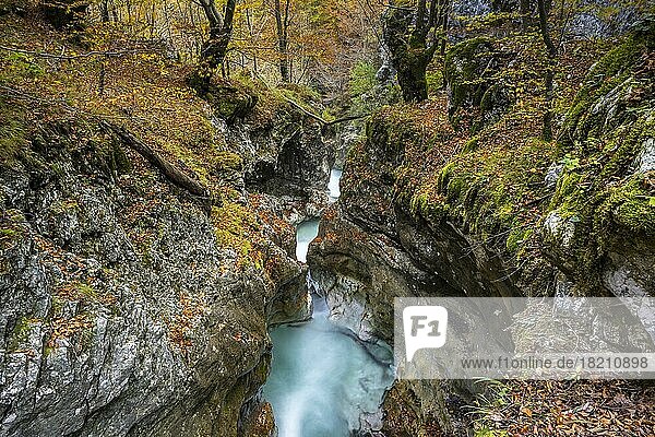Moznica Schlucht  Wildbach in engem Canyon  Bovec  Soca Tal  Triglav Nationalpark  Slowenien  Europa