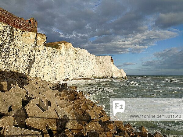Chalk cliffs at Seaford  East Sussex  Great Britain