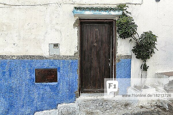 Braune Tür in blauer und weißer Mauer  typische enge Gasse in der Kasbah des Oudaïas  Rabat  Rabat-Salé-Kénitra  Marokko  Afrika
