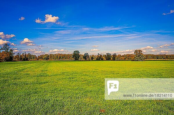 Ein brachliegendes Getreidefeld im Herbst mit Gras bewachsen  bei blauem Himmel  Quellwolken und einem Wald im Hintergrund  Hagenburg  Niedersachsen  Deutschland  Europa