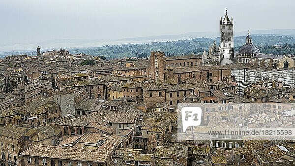 Cityscape  view from Torre del Mangia to Cathedral of Siena  Cattedrale di Santa Maria Assunta  Siena  Tuscany  Italy  Europe