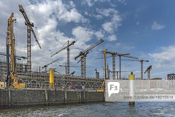 Construction cranes of a large construction site in the port of Hamburg  Hamburg  Germany  Europe