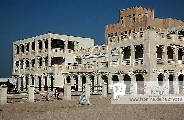 Araberpferde Zuchtställe in Al Jasra  Doha  Qatar  Katar  Asien