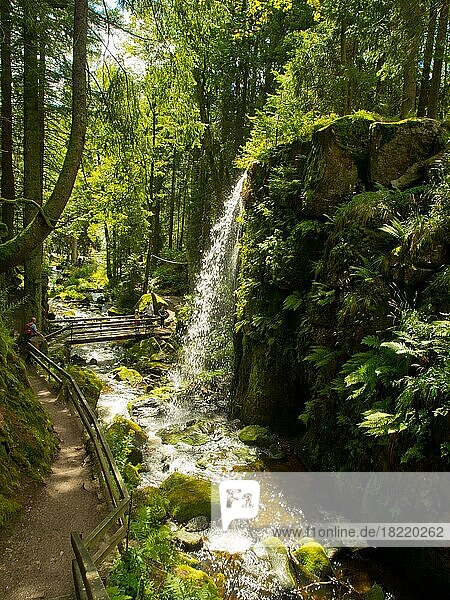 Waterfall and hiking trail in the gorge of the Menzenschwander Alb  St. Blasien  Black Forest  Germany  Europe