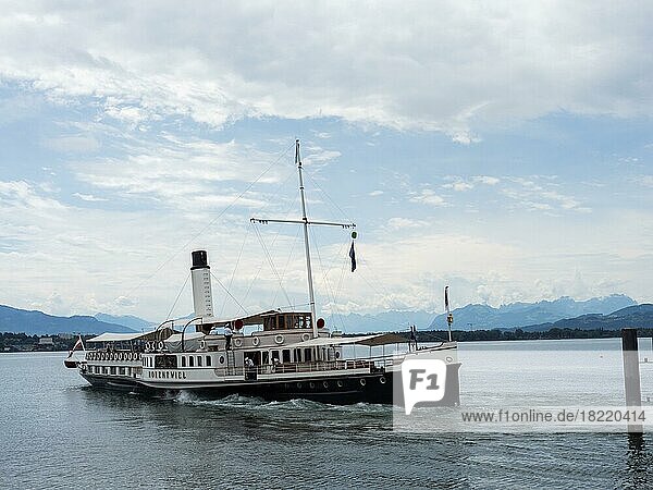Paddle steamer Hohentwiel  near Lochau  Lake Constance  Vorarlberg  Austria  Europe