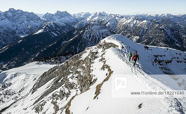 Gipfel des Schafreuter im Winter mit Schnee  Karwendelgebirge  Alpen bei gutem Wetter  Bayern  Deutschland  Europa