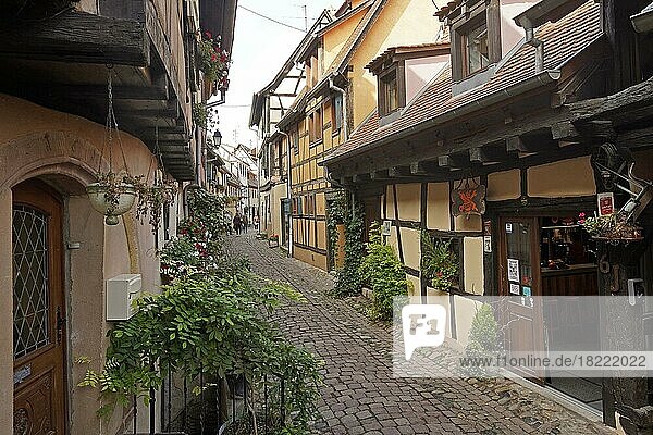 Bunte Fachwerkhäuser der historischen Altstadt von Eguisheim  Elsass  Frankreich  Europa
