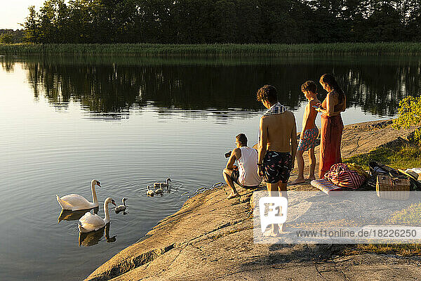 Family looking at swan family swimming in lake during sunset