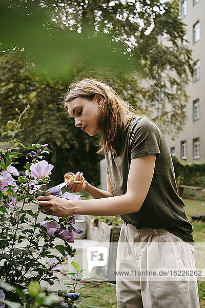 Junge Frau  die im Garten stehend die Blätter von Blumen mit einer Schere abschneidet