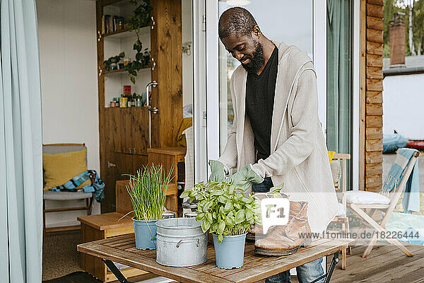 Älterer Mann in Strickjacke bei der Gartenarbeit am Tisch  während er auf der Veranda steht