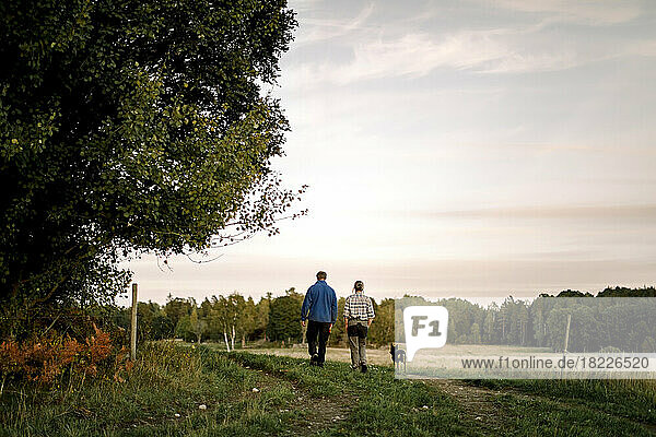 Rückansicht eines Paares mit Hund  das bei Sonnenuntergang auf einem Feld spazieren geht