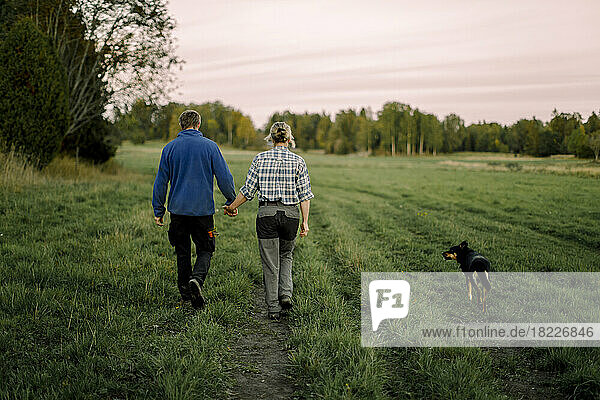Älteres Paar  das sich an den Händen hält und mit dem Hund auf einem Feld bei Sonnenuntergang spazieren geht