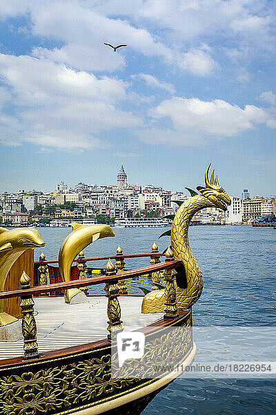 Turkey  Istanbul  Gold serpent and dolphins on bow of ship on Bosphorus