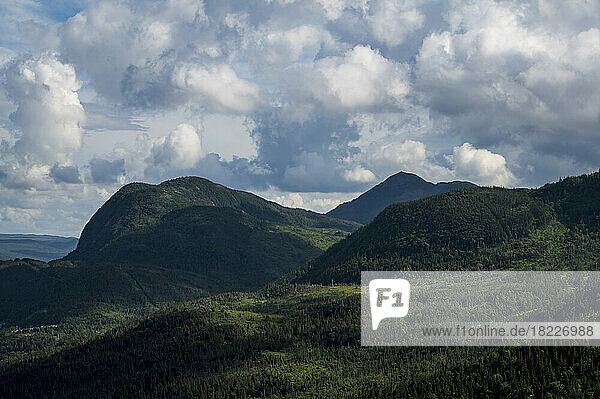 Canada  Labrador  Newfoundland  Mountain landscape in Gros Morne National Park