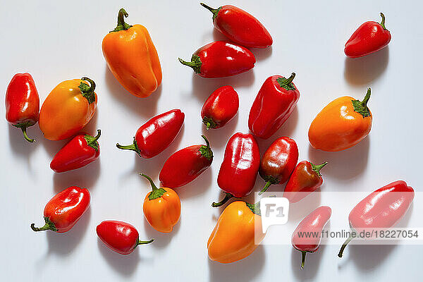 Red and orange peppers on white background