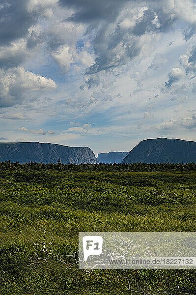 Canada  Labrador  Newfoundland  Long Range Mountains  Mountain landscape in Gros Morne National Park