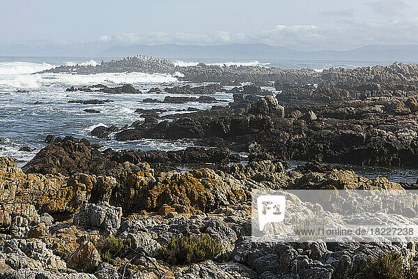 South Africa  Rough rocky coastline 
