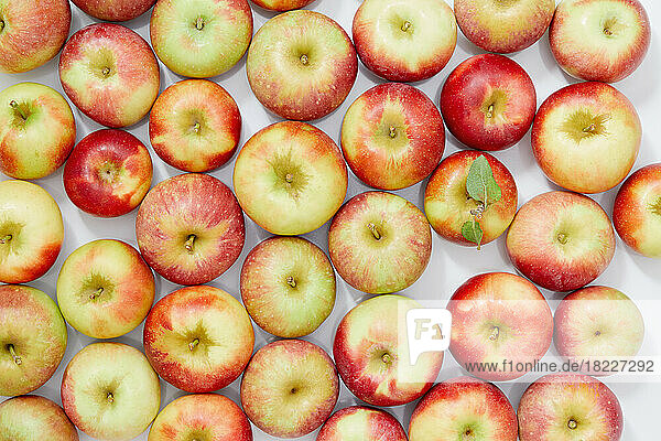 Overhead view of ripe and colorful apples