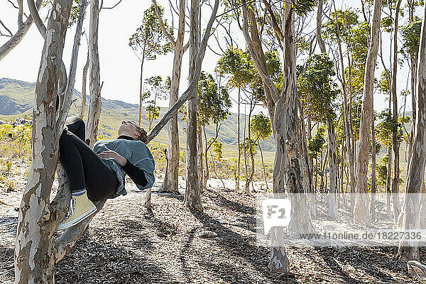 South Africa  Stanford  Teenage girl (16-17) relaxing on branch of gum tree at Phillipskop Mountain Reserve