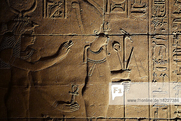 Egypt  Island of Philea  Close-up of bas relief in Temple of Isis