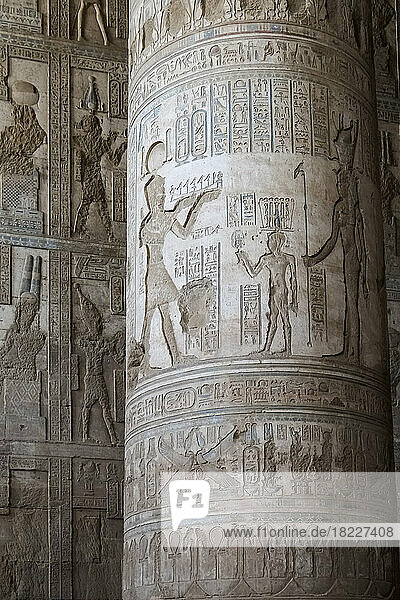 Egypt  Esna  Hieroglyphics carved into columns at Temple of Dendarah