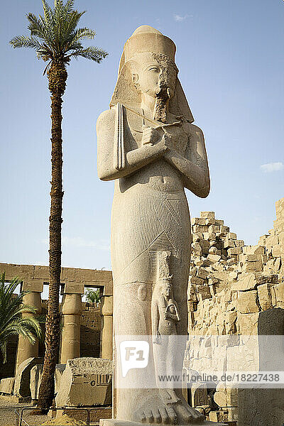 Egypt  Luxor  Pharaoh statue and palm tree at Temple of Karnak