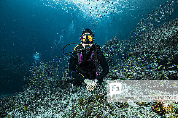 diver exploring a coral reef in the South Andaman Sea / Thailand